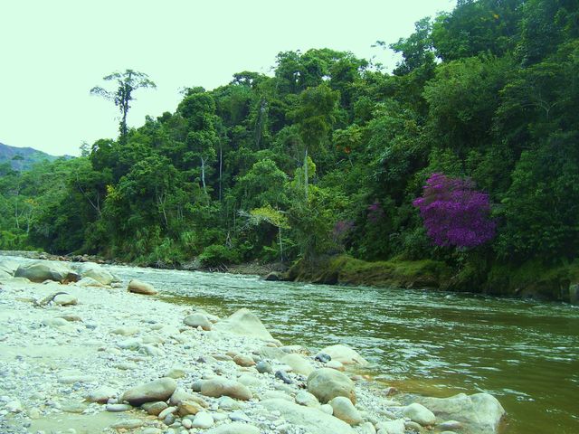 Las Orillas 